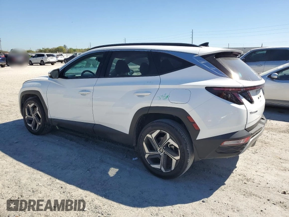 2023 Hyundai Tucson Limited with VIN 5NMJECAE2PH249024, listed as a Copart auction lot 49394595 with 43,451 mi miles and Salvage Title. Bid and sale history available at carsss.com. Image 2.