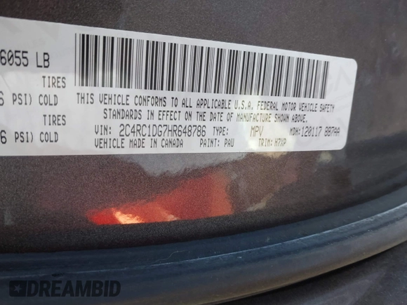 2017 Chrysler Pacifica Touring with VIN 2C4RC1DG7HR648786, listed as a IAAI auction lot 41570029 with 125,406 mi miles and . Bid and sale history available at DreamBid. Image 9.