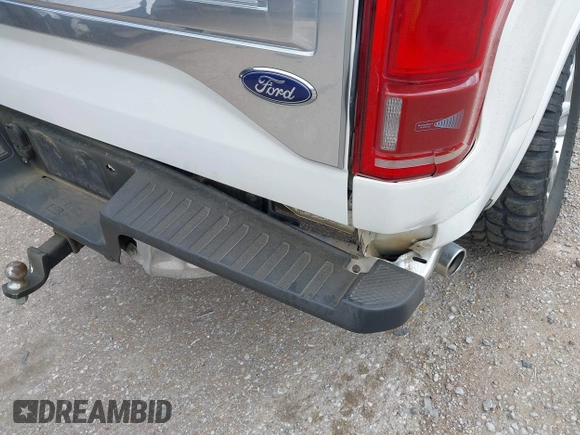 2015 Ford F-150 XLT with VIN 1FTEW1EF6FFA22646, listed as a IAAI auction lot 41933484 with Not provided miles and . Bid and sale history available at DreamBid. Image 17.