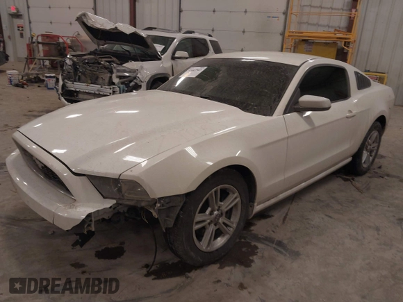 2013 Ford Mustang V6 with VIN 1ZVBP8AM0D5281131, listed as a IAAI auction lot 41447563 with 119,820 mi miles. Bid and sale history available at carsss.com. Image 18.