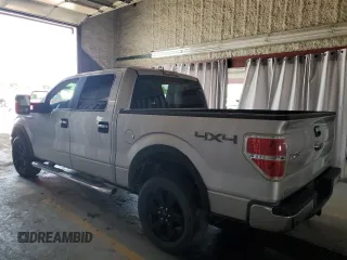 2010 Ford F-150 XL with VIN 1FTFW1EV3AFB69270, listed as a Copart auction lot 66163565 with 176,569 mi miles and Clean title. Bid and sale history available at DreamBid. Image 2.