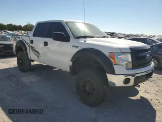 2012 Ford F-150 XL with VIN 1FTFW1EF5CFB56290, listed as a Copart auction lot 74875874 with 233,978 mi miles and Salvage title. Bid and sale history available at DreamBid. Image 4.