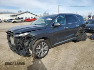 2020 Hyundai Palisade SEL with VIN KM8R3DHE5LU144495, listed as a Copart auction lot 52964425 with 97,571 mi miles and Salvage title. Bid and sale history available at DreamBid. Image 1.