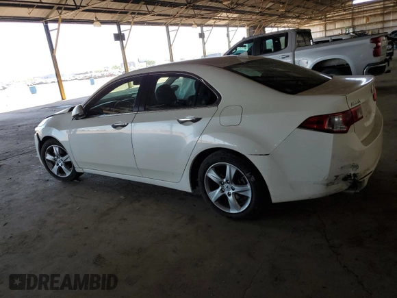 2010 Acura TSX with VIN JH4CU2F66AC015271, listed as a Copart auction lot 54620125 with 46,482 mi miles and Salvage Title. Bid and sale history available at carsss.com. Image 2.
