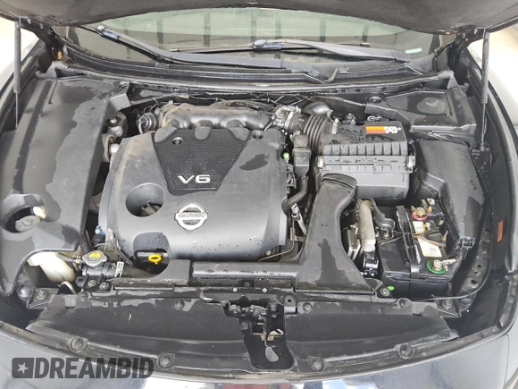 2011 Nissan Maxima SV with VIN 1N4AA5AP6BC818897, listed as a Copart auction lot 56032935 with 178,027 mi miles and Clean title. Bid and sale history available at DreamBid. Image 11.