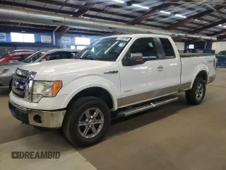 2012 Ford F-150 XL with VIN 1FTFX1ET7CFC28609, listed as a Copart auction lot 59606295 with 224,424 mi miles and Clean title. Bid and sale history available at DreamBid. Image 1.