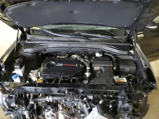 2019 Hyundai Santa Fe Ultimate with VIN 5NMS53AA4KH118316, listed as a Copart auction lot 82796484 with 66,805 mi miles and Salvage Title. Bid and sale history available at carsss.com. Image 12.