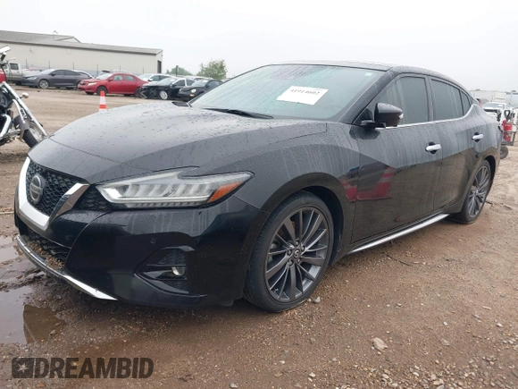2019 Nissan Maxima SV with VIN 1N4AA6AV2KC379623, listed as a IAAI auction lot 41914602 with 111,009 mi miles and . Bid and sale history available at DreamBid. Image 17.
