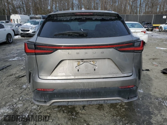 2023 Lexus NX with VIN 2T2KGCEZ4PC026187, listed as a Copart auction lot 42066325 with 38,382 mi miles and Salvage Title. Bid and sale history available at carsss.com. Image 6.