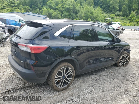 2020 Ford Escape SEL with VIN 1FMCU9H68LUB17865, listed as a Copart auction lot 58217685 with 113,569 mi miles and Salvage title. Bid and sale history available at DreamBid. Image 3.