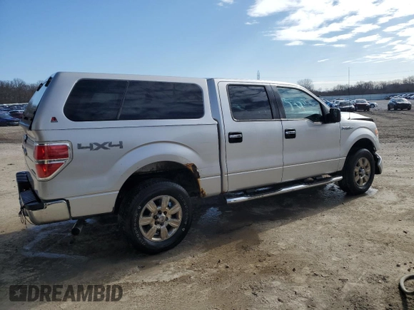 2009 Ford F-150 XL with VIN 1FTRW14819FB41374, listed as a Copart auction lot 50144435 with 110,685 mi miles and Non Repairable. Bid and sale history available at carsss.com. Image 3.