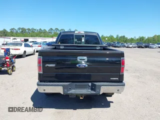 2013 Ford F-150 XL with VIN 1FTFX1EF4DFE09064, listed as a IAAI auction lot 42019665 with 249,430 mi miles. Bid and sale history available at carsss.com. Image 16.