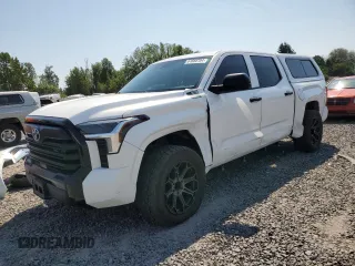 2022 Toyota Tundra SR with VIN 5TFKB5DB1NX014807, listed as a Copart auction lot 61888704 with 48,584 mi miles and Salvage title. Bid and sale history available at DreamBid. Image 1.