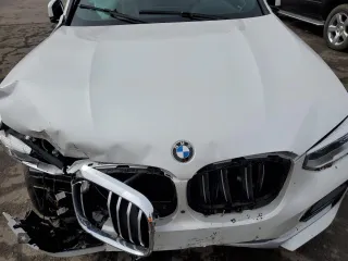 2019 BMW X4 xDrive30i with VIN 5UXUJ3C58KLG56036, listed as a Copart auction lot 43429343 with 0 mi miles. Bid and sale history available at carsss.com. Image 11.