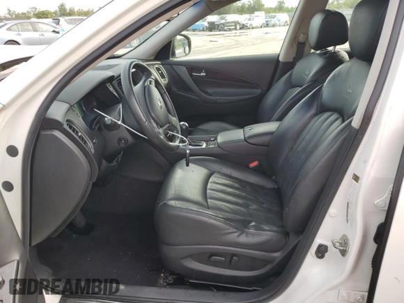 2010 Infiniti EX Journey with VIN JN1AJ0HR6AM752786, listed as a Copart auction lot 74788834 with 183,219 mi miles and Salvage Title. Bid and sale history available at carsss.com. Image 7.