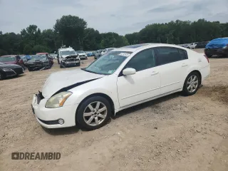 2004 Nissan Maxima SE with VIN 1N4BA41E14C903906, listed as a Copart auction lot 63745445 with 105,553 mi miles and Salvage title. Bid and sale history available at DreamBid. Image 1.