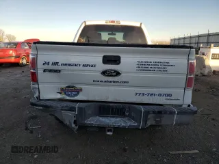 2013 Ford F-150 XL with VIN 1FTEX1CM2DFD53719, listed as a Copart auction lot 42624595 with 197,015 mi miles and Salvage title. Bid and sale history available at DreamBid. Image 6.