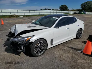 2018 Kia Stinger Premium with VIN KNAE25LA3J6015573, listed as a Copart auction lot 74701174 with Not Provided miles and Non Repairable. Bid and sale history available at DreamBid. Image 1.