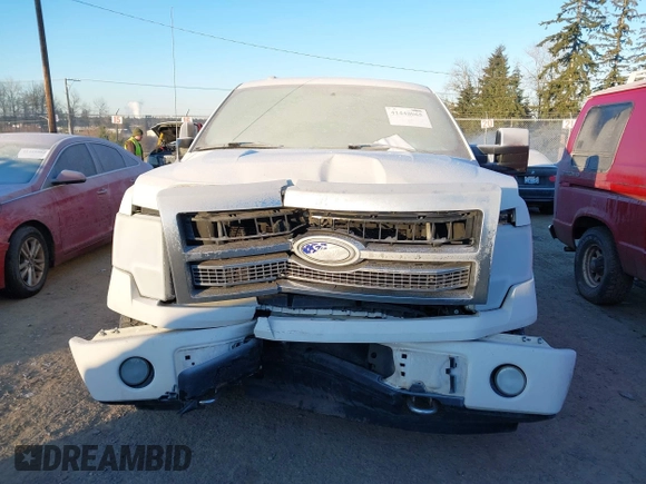 2009 Ford F-150 XL with VIN 1FTPW14V19FA43426, listed as a IAAI auction lot 41448065 with 180,394 mi miles and . Bid and sale history available at DreamBid. Image 12.
