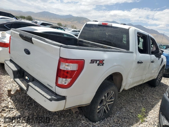 2023 Ford F-150 XL with VIN 1FTEW1EPXPFC20804, listed as a Copart auction lot 56555615 with 60,984 mi miles and Salvage title. Bid and sale history available at DreamBid. Image 3.
