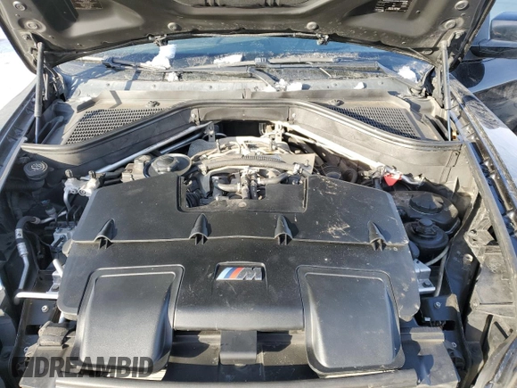 2010 BMW X6 M with VIN 5YMGZ0C57ALK13322, listed as a Copart auction lot 84522144 with 166,677 mi miles and Clean Title. Bid and sale history available at carsss.com. Image 12.