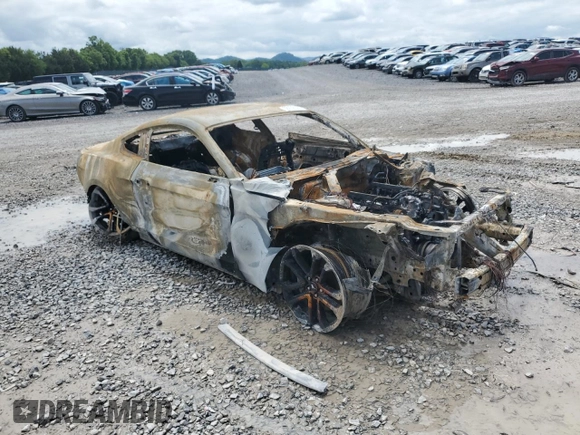 2019 Ford Mustang GT with VIN 1FA6P8CF3K5199495, listed as a Copart auction lot 56132555 with Not provided miles and Non repairable. Bid and sale history available at DreamBid. Image 4.
