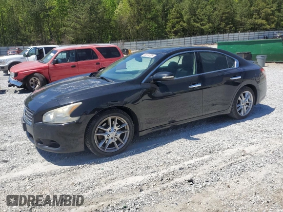 2009 Nissan Maxima SV with VIN 1N4AA51E59C819757, listed as a Copart auction lot 53070385 with 177,688 mi miles and Salvage Title. Bid and sale history available at DreamBid. Image 1.