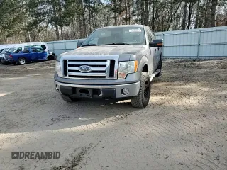 2010 Ford F-150 XL with VIN 1FTFW1EV5AKE16361, listed as a Copart auction lot 49160425 with 125,483 mi miles and Non Repairable. Bid and sale history available at carsss.com. Image 11.