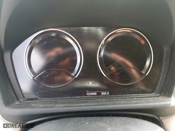 2018 BMW X2 sDrive28i with VIN WBXYJ3C39JEJ84109, listed as a Copart auction lot 53585265 with 123,495 mi miles and Clean Title. Bid and sale history available at carsss.com. Image 9.