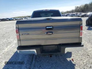 2010 Ford F-150 XL with VIN 1FTEX1C85AFD61411, listed as a Copart auction lot 50500925 with 164,735 mi miles and Salvage Title. Bid and sale history available at carsss.com. Image 6.
