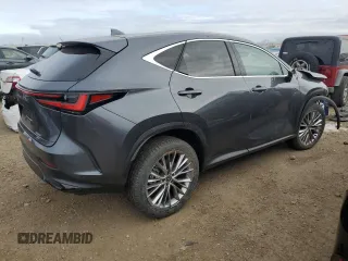 2025 Lexus NX with VIN 2T2GGCEZ9SC066036, listed as a Copart auction lot 80325774 with 1,018 mi miles and Salvage Title. Bid and sale history available at carsss.com. Image 3.