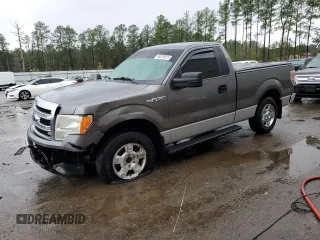 2013 Ford F-150 XL with VIN 1FTMF1CM9DFD30386, listed as a Copart auction lot 45029925 with 98,820 mi miles and Salvage Title. Bid and sale history available at carsss.com. Image 1.