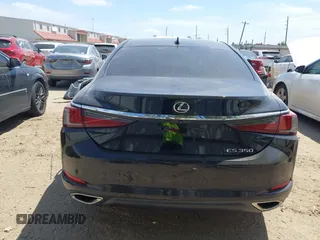 2019 Lexus ES 350 with VIN 58ABZ1B16KU011093, listed as a IAAI auction lot 41976778 with 66,294 mi miles and . Bid and sale history available at DreamBid. Image 17.