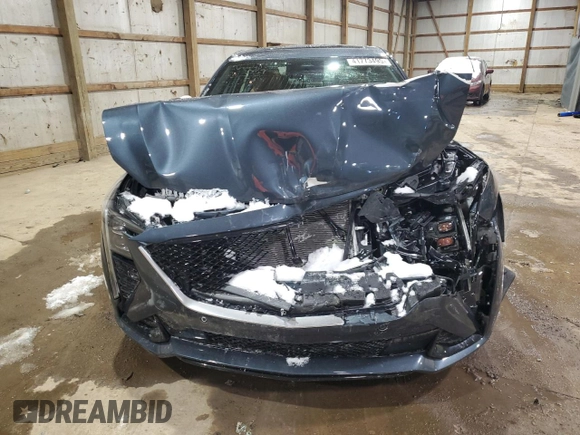 2025 Cadillac CT5 Sport with VIN 1G6DU5RK9S0113510, listed as a Copart auction lot 41773495 with 1,019 mi miles and Salvage Title. Bid and sale history available at DreamBid. Image 5.