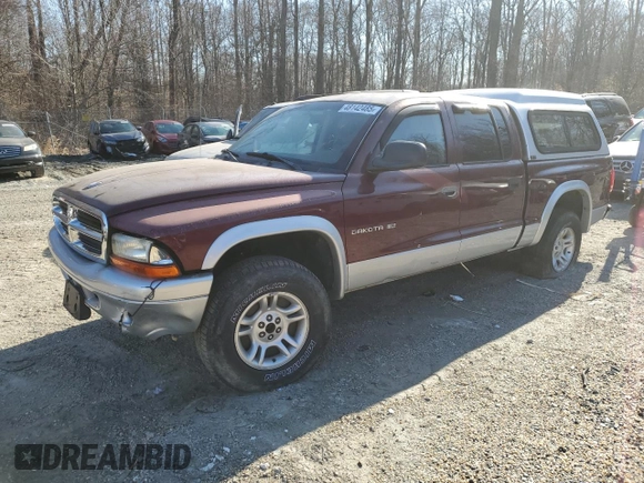 2002 Dodge Dakota SLT with VIN 1B7HG48N82S536711, listed as a Copart auction lot 48142485 with 0 mi miles and Salvage Title. Bid and sale history available at carsss.com. Image 1.