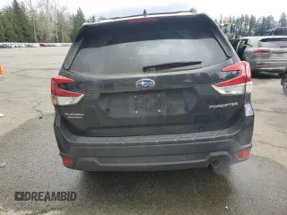 2019 Subaru Forester Limited with VIN JF2SKAUC0KH484335, listed as a Copart auction lot 49064975 with 44,620 mi miles and Salvage Title. Bid and sale history available at carsss.com. Image 6.