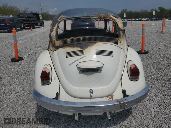 1969 Volkswagen Beetle with VIN 119235264, listed as a Copart auction lot 55211595 with Not Provided miles and Salvage Title. Bid and sale history available at DreamBid. Image 6.