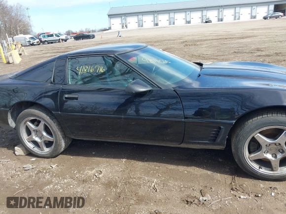 1995 Chevrolet Corvette z VIN 1G1YY22P1S5118252, wystawiony jako IAAI lot #41816716 z przebiegiem 143 210 mil mil oraz . Historia ofert i sprzedaży dostępna na DreamBid. Obrazek 13.