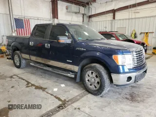 2011 Ford F-150 XLT with VIN 1FTFW1ET0BFC87020, listed as a Copart auction lot 58845915 with 137,315 mi miles and Clean title. Bid and sale history available at DreamBid. Image 4.