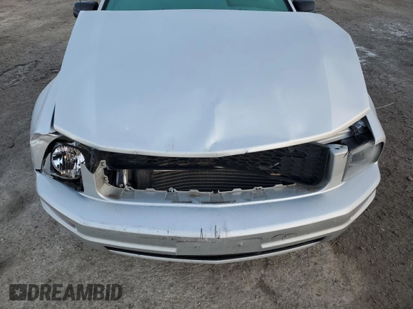 2008 Ford Mustang Deluxe with VIN 1ZVHT84N385188345, listed as a Copart auction lot 83566164 with 74,855 mi miles and Salvage Title. Bid and sale history available at carsss.com. Image 13.