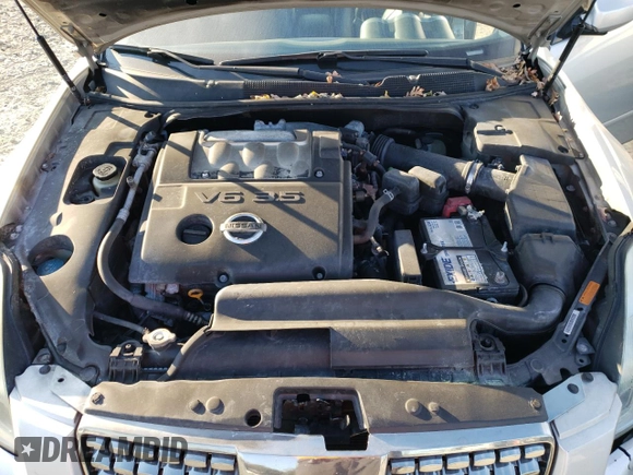 2004 Nissan Maxima SL with VIN 1N4BA41E34C864591, listed as a Copart auction lot 82774144 with Not Provided miles and Non Repairable. Bid and sale history available at DreamBid. Image 11.