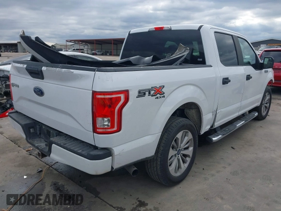 2017 Ford F-150 XL with VIN 1FTEW1EF5HKC04641, listed as a IAAI auction lot 41304620 with 156,064 mi miles. Bid and sale history available at carsss.com. Image 4.