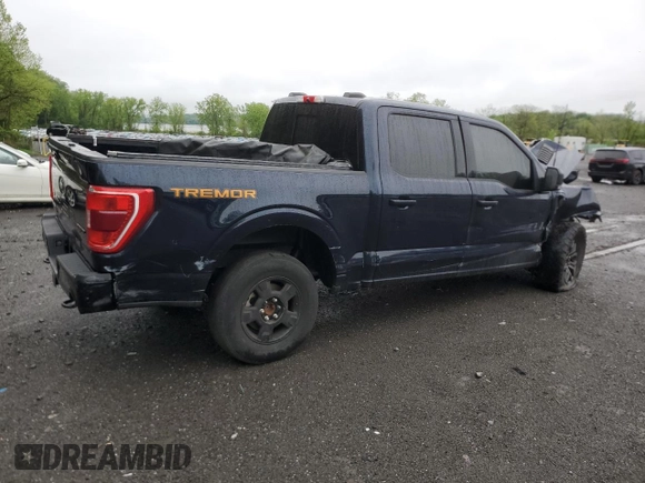 2023 Ford F-150 XL with VIN 1FTFW1E50PFA81169, listed as a Copart auction lot 55646095 with Not provided miles and Salvage title. Bid and sale history available at DreamBid. Image 3.