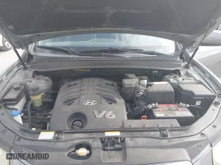 2009 Hyundai Santa Fe SE with VIN 5NMSH13E49H254693, listed as a IAAI auction lot 40894723 with 141,474 mi miles. Bid and sale history available at carsss.com. Image 10.