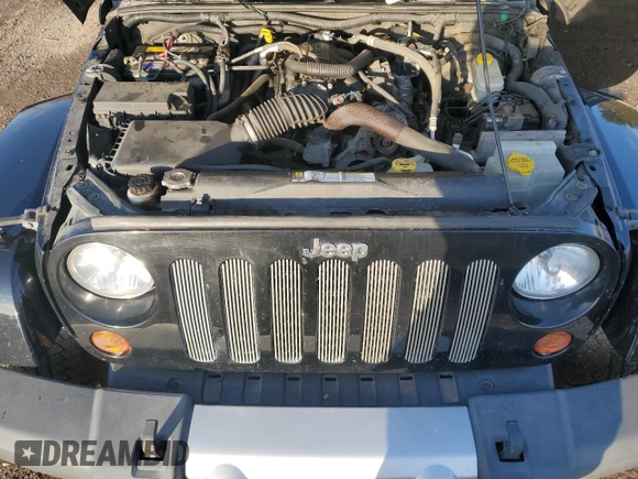 2010 Jeep Wrangler Unlimited Sahara with VIN 1J4BA5H18AL207844, listed as a Copart auction lot 48316825 with 221,599 mi miles and Clean Title. Bid and sale history available at carsss.com. Image 12.