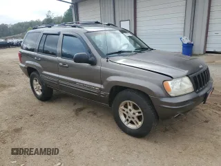 1999 Jeep Grand Cherokee Limited with VIN 1J4G268S3XC728805, listed as a Copart auction lot 79878974 with 206,768 mi miles and Salvage title. Bid and sale history available at DreamBid. Image 4.