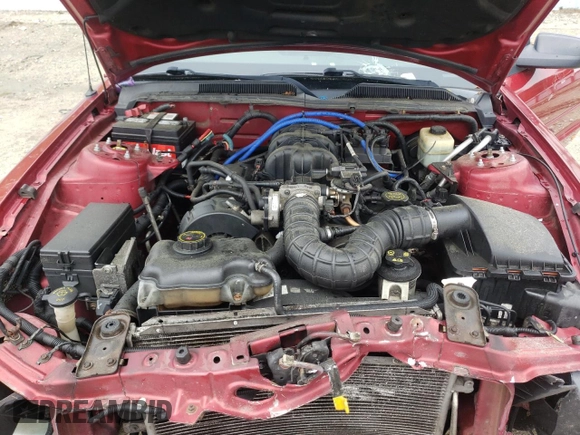 2005 Ford Mustang Deluxe with VIN 1ZVFT80N355197524, listed as a Copart auction lot 56963425 with 262,048 mi miles and Salvage title. Bid and sale history available at DreamBid. Image 11.