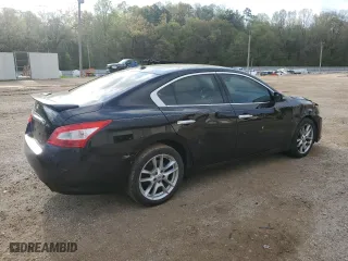 2010 Nissan Maxima 3.5 SV with VIN 1N4AA5AP2AC841592, listed as a Copart auction lot 51620675 with 143,906 mi miles and Salvage Title. Bid and sale history available at carsss.com. Image 3.