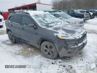 2017 Jeep Cherokee Limited with VIN 1C4PJMDB7HW530649, listed as a IAAI auction lot 41365083 with 81,570 mi miles and . Bid and sale history available at DreamBid. Image 1.