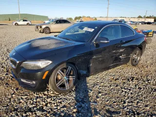 2017 BMW 2 Series 230i with VIN WBA2F9C30H7A40308, listed as a Copart auction lot 41564795 with 53,403 mi miles and Salvage Title. Bid and sale history available at carsss.com. Image 1.